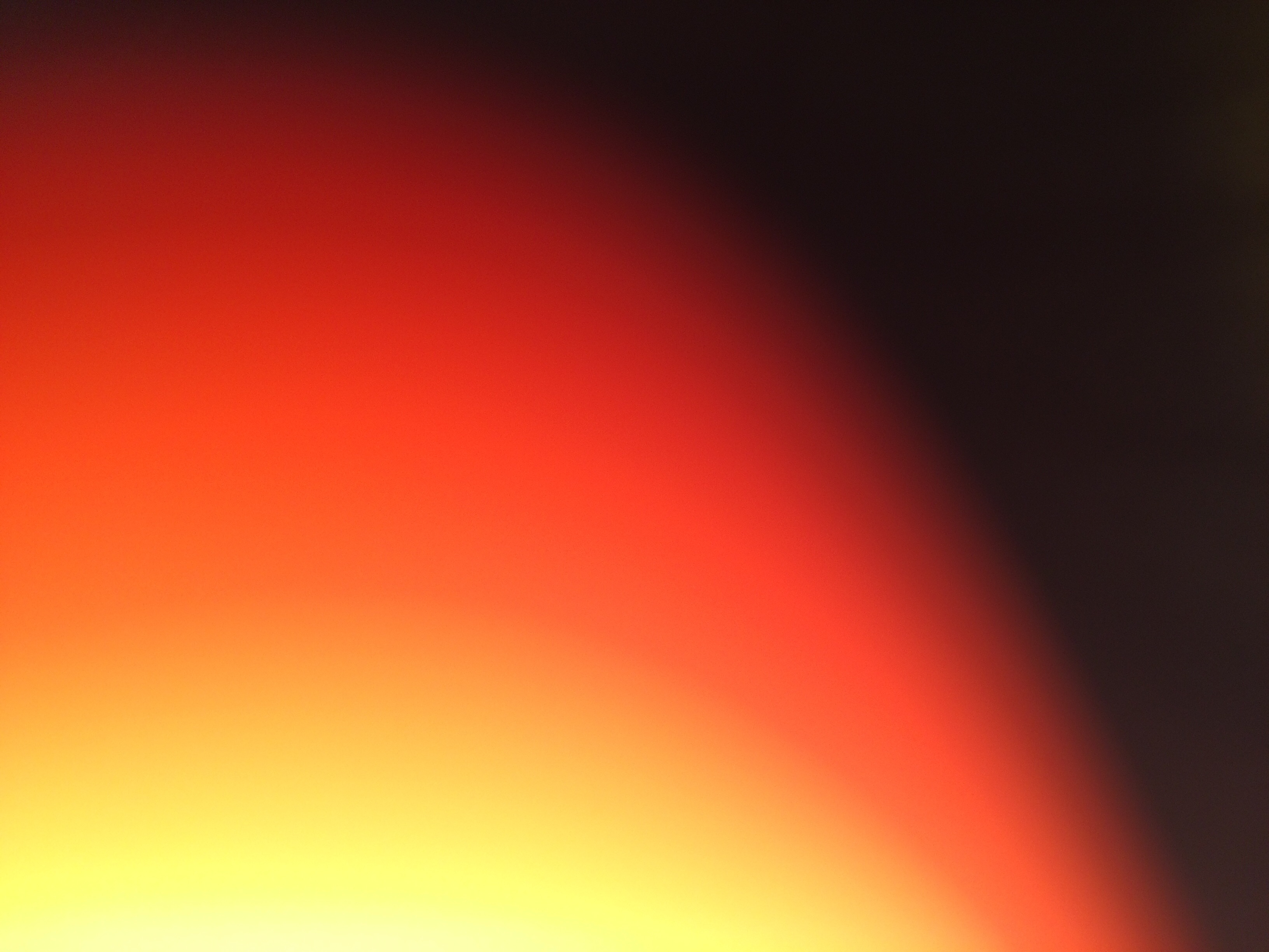 My belly