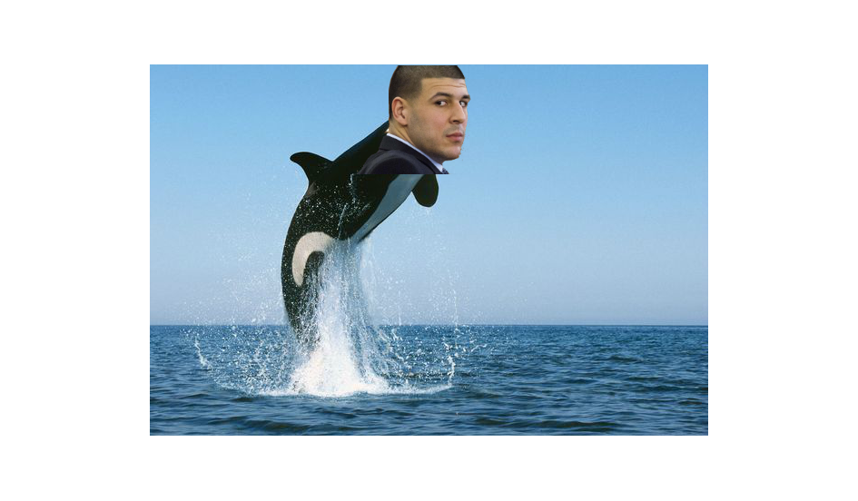 aaron-hernandez-killer-whale.png