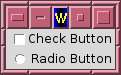 check-radio.png