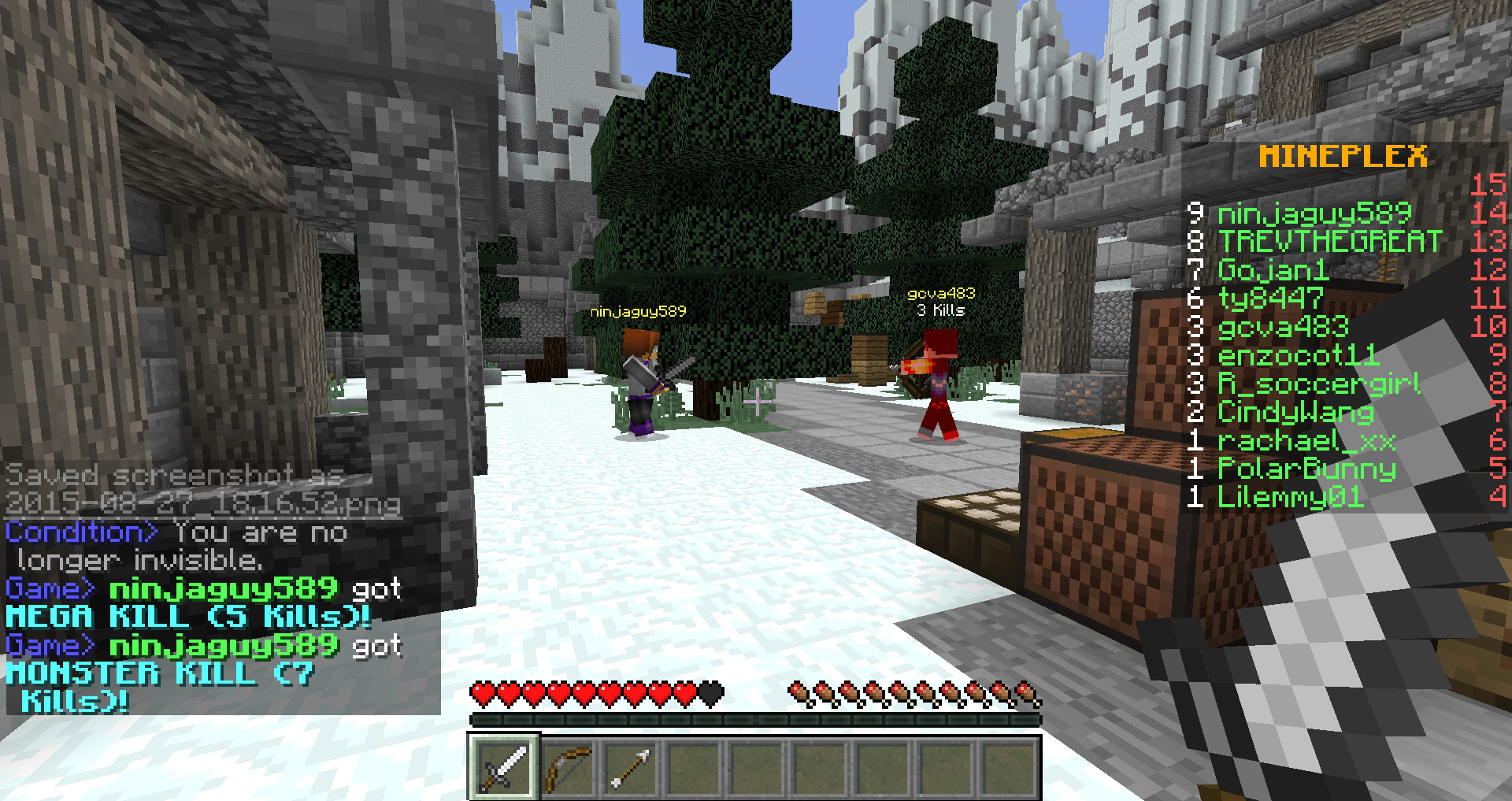 NinjaGuy589 Hacking