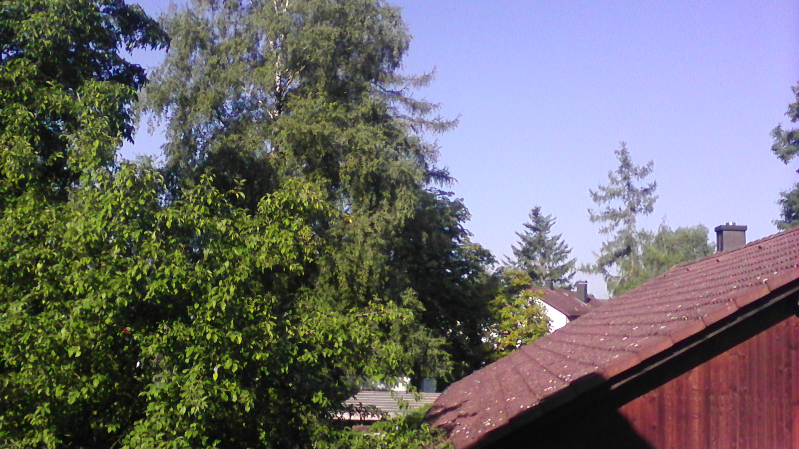 P_20150830_090034.jpg