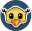 fdicontst.png