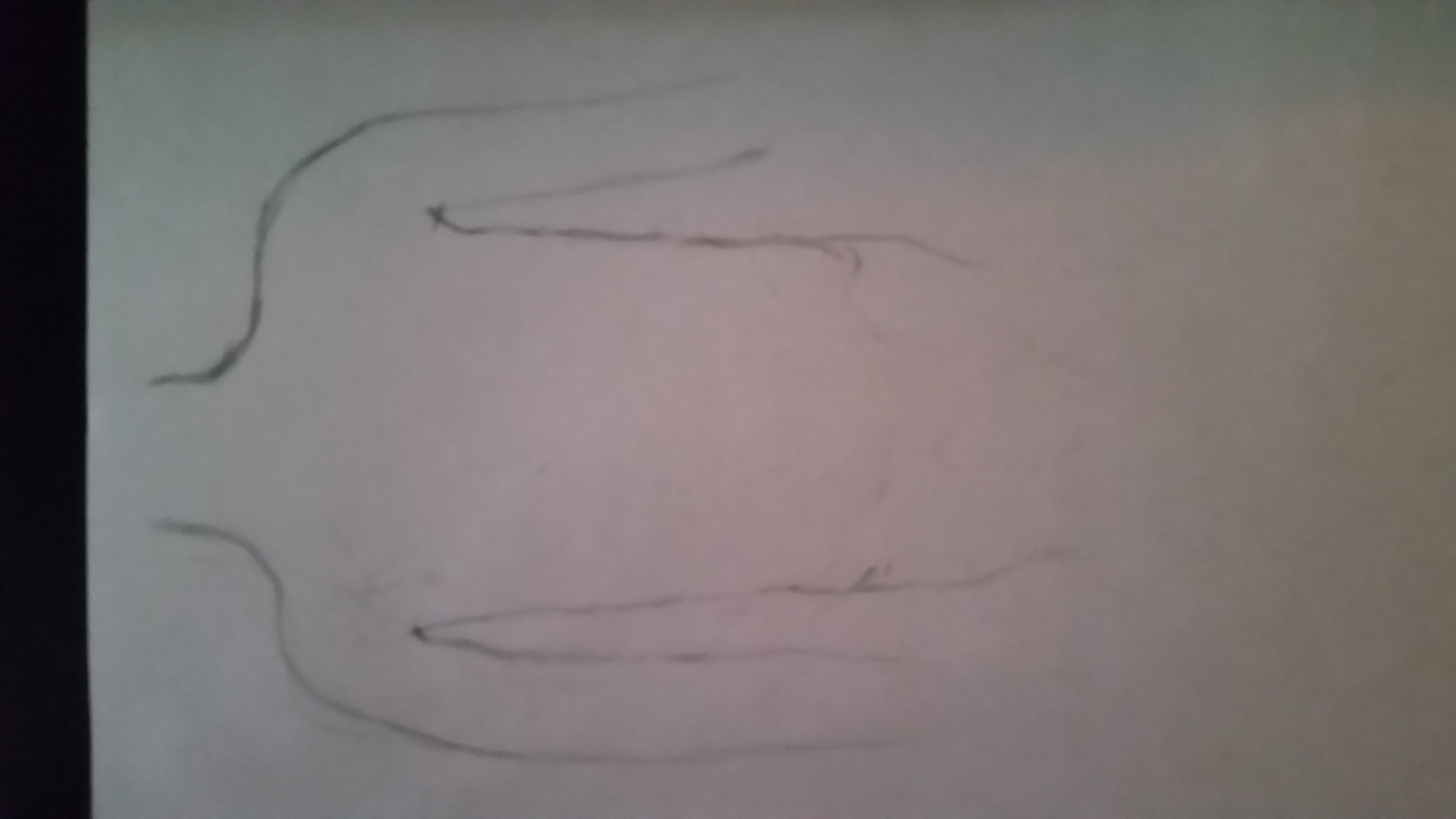 20150908_110351.jpg