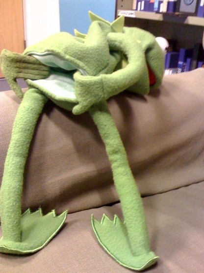 frog.jpg