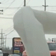 Why.gif