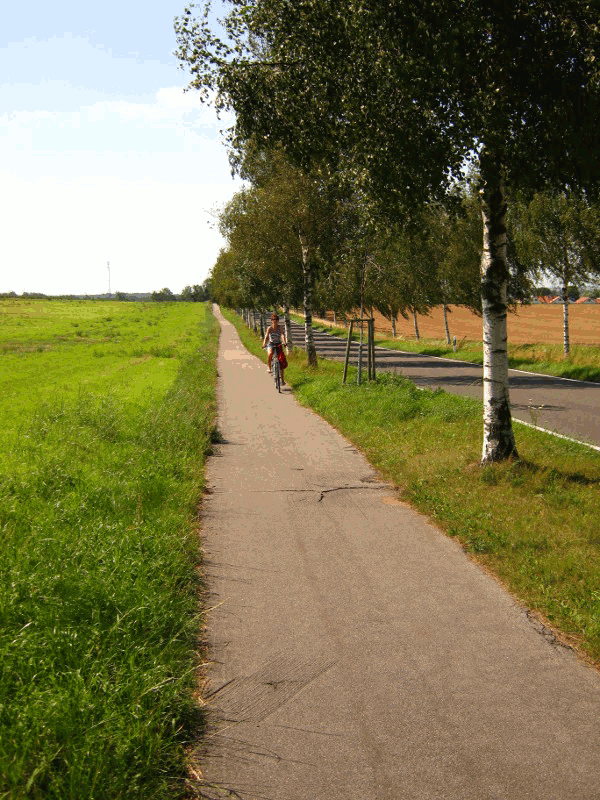auf Poel