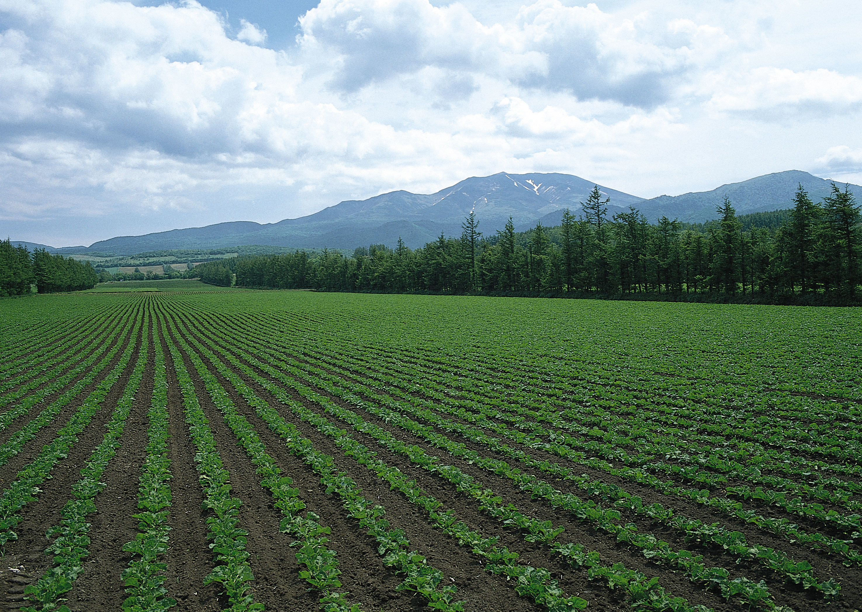out.jpg