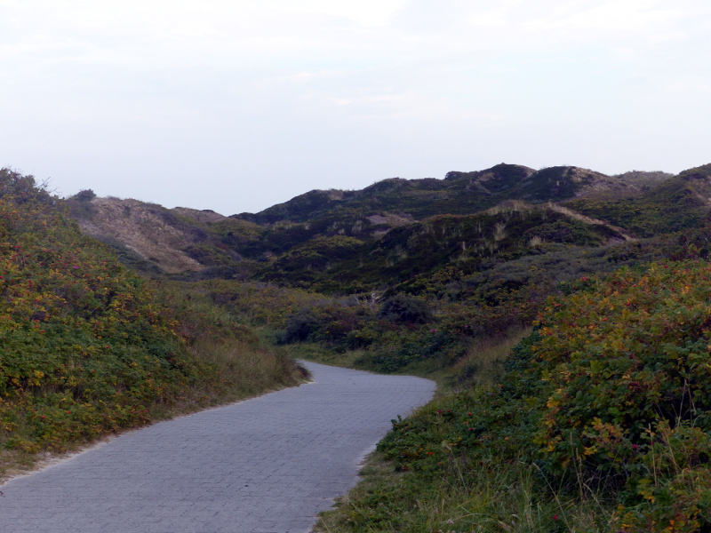 dunes4.JPG