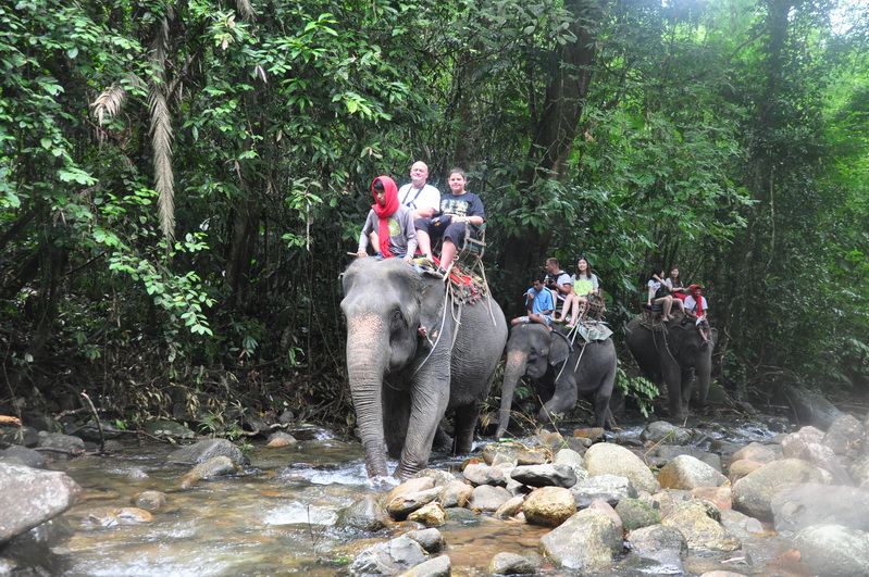 <a href=http://www.khaolakadventure.com>Khao Sok</a>