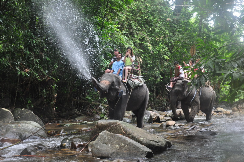<a href=http://www.khaolakadventure.com>Elephant Trekking</a>