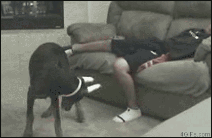 1288794914937.gif