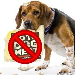 #OpMrsYang #ExpectUs #NTDM  #justice