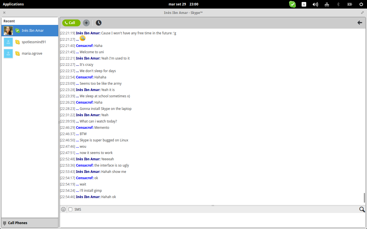 screenSkype.png