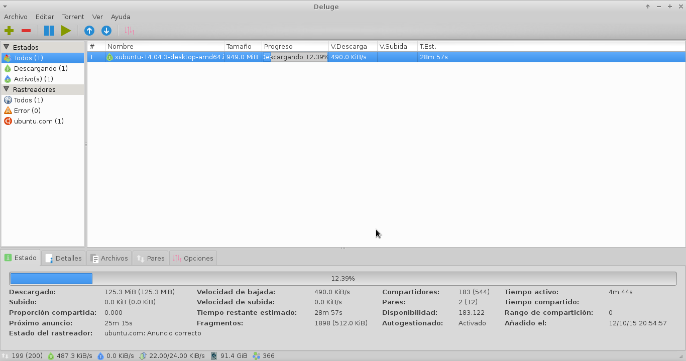 torrent.png
