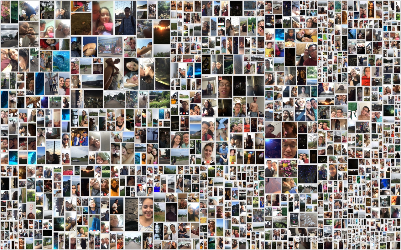collage2.jpg