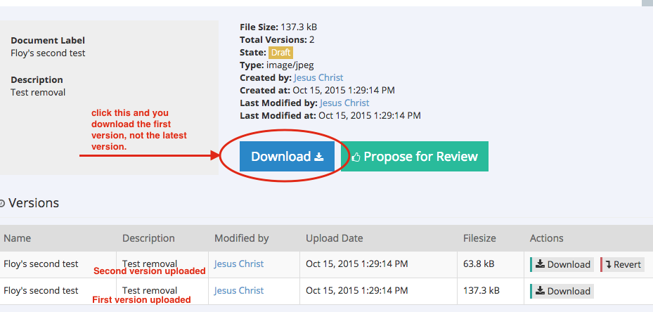 versioning.png