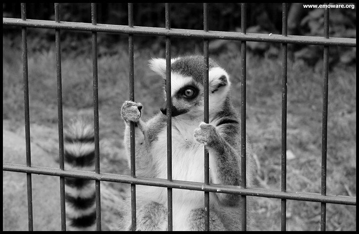 copenhagen-zoo20b.jpg