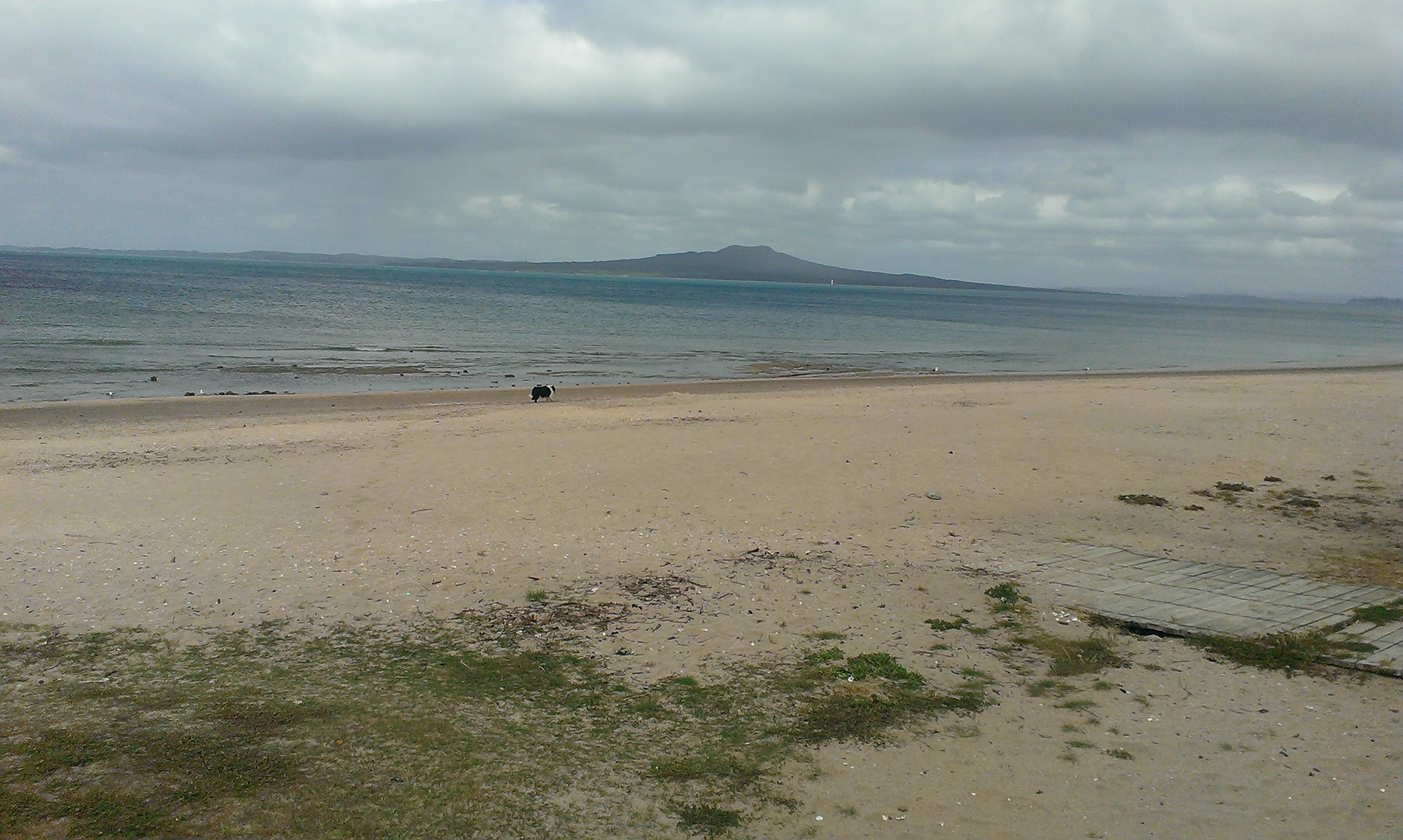 IMAG0134.jpg