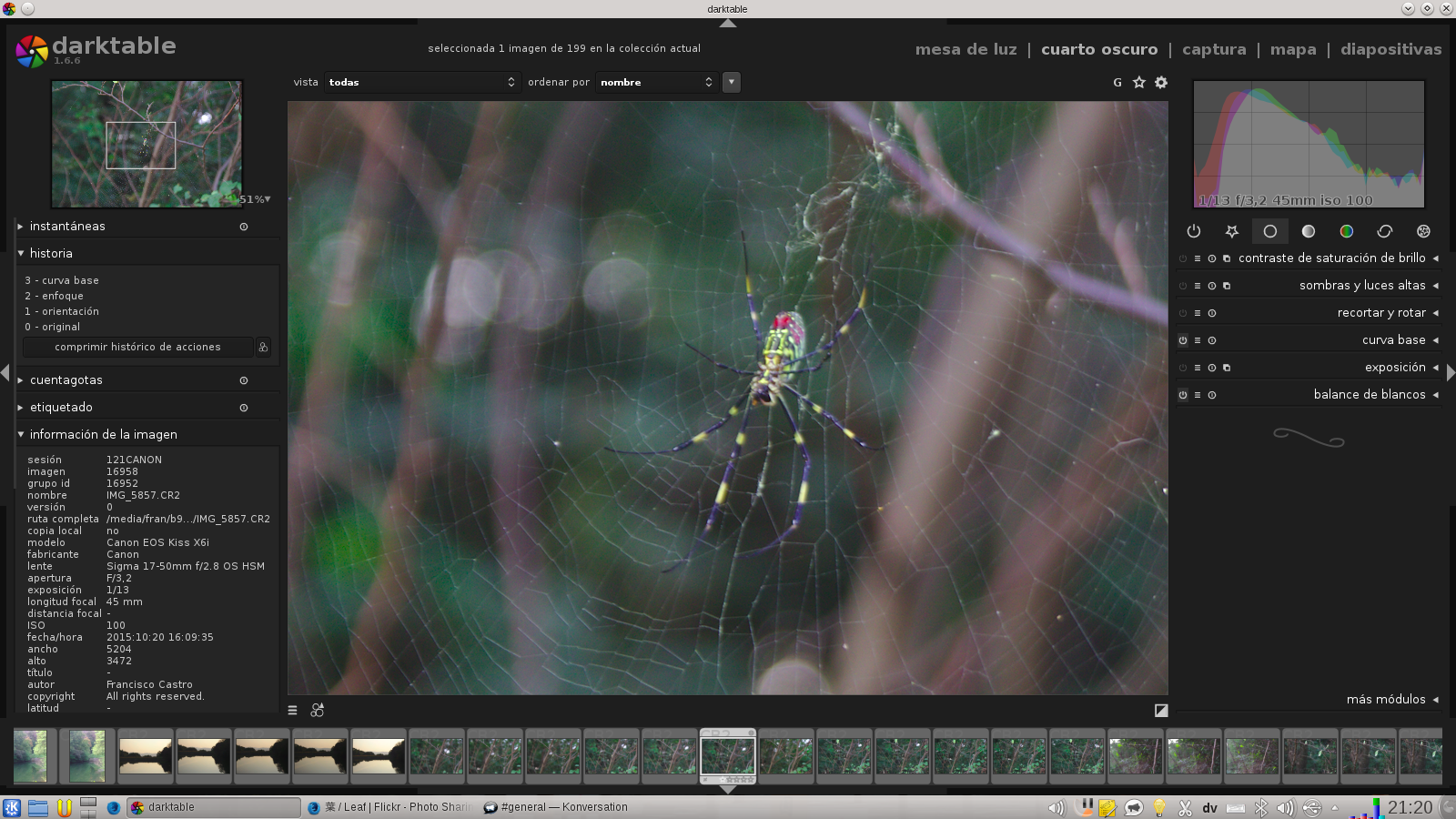 spider.png