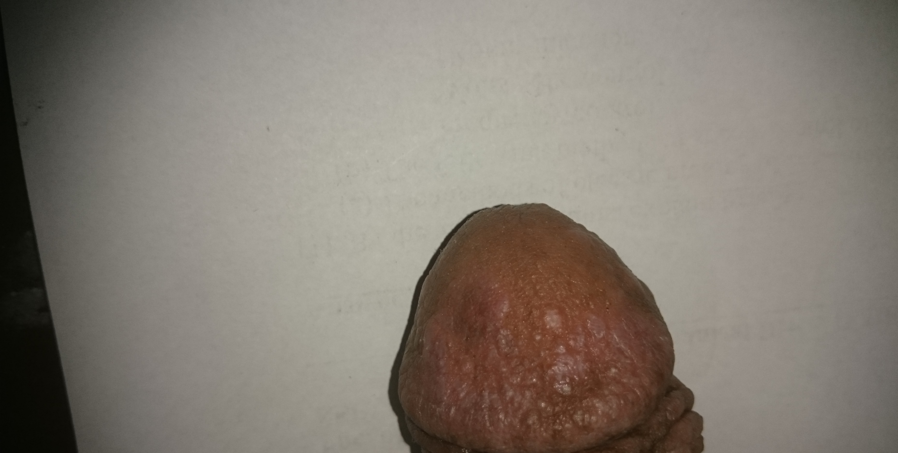 DSC_0134.JPG