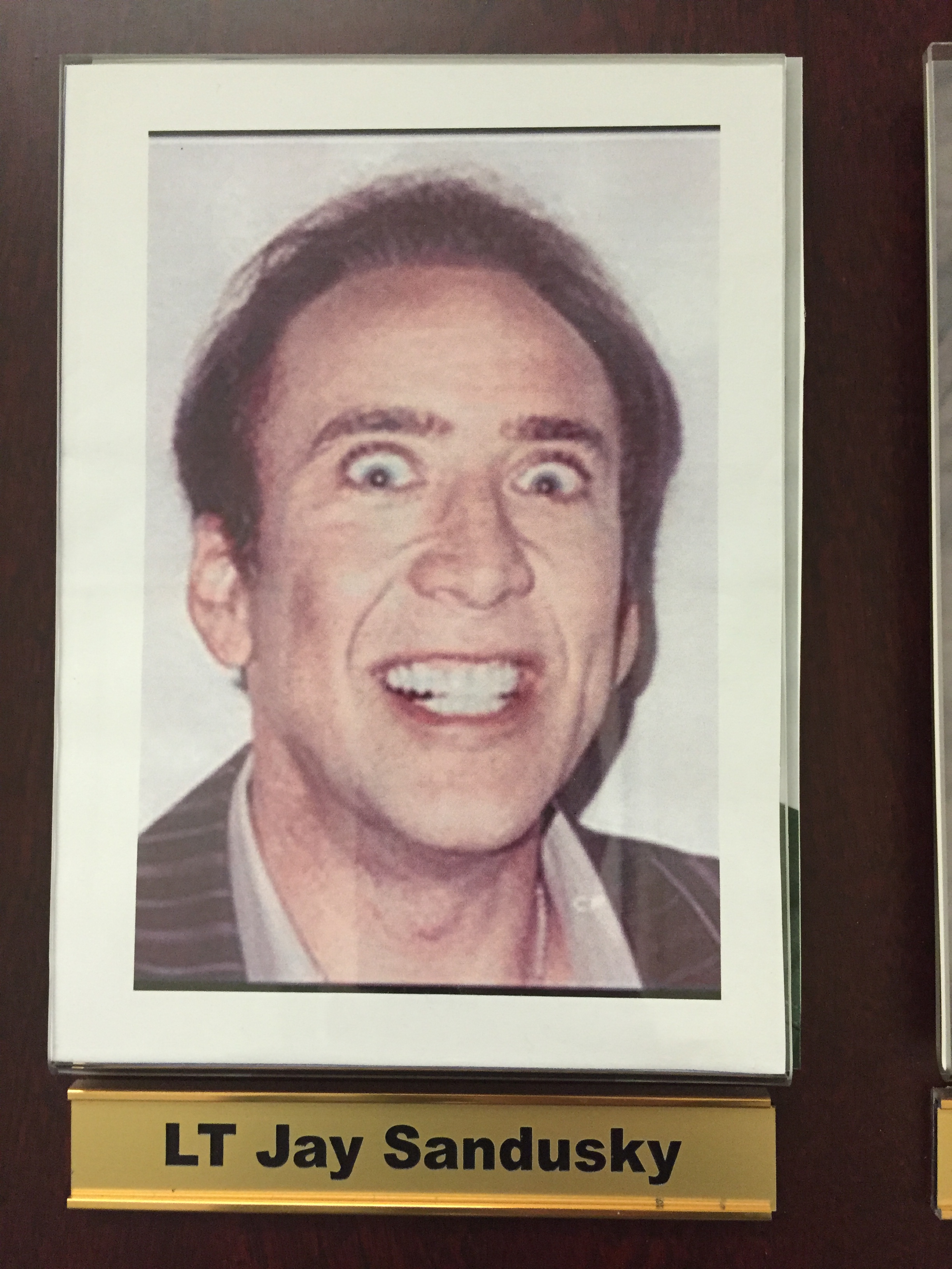 Sandusky Cage