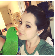 bird