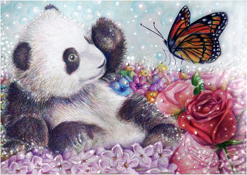 panda