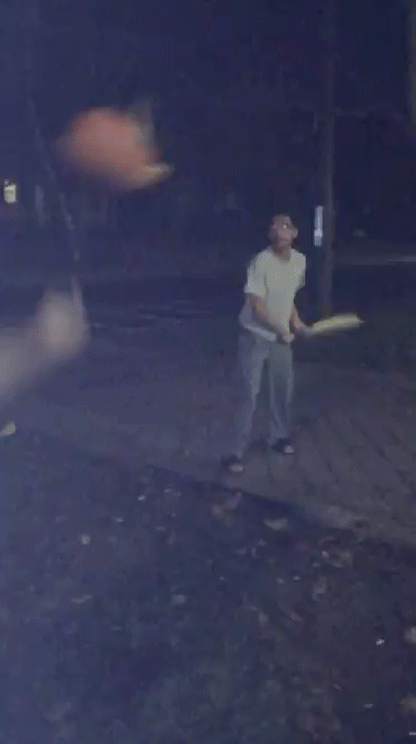 Untitled-1.gif