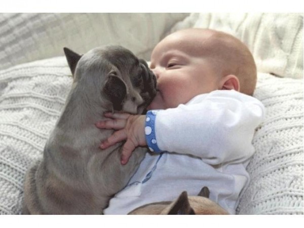 Bebeycachorro.jpg