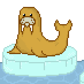walrus