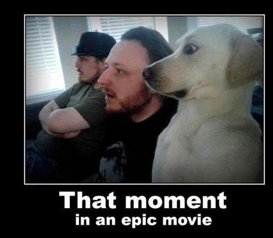 thatmoment.jpg