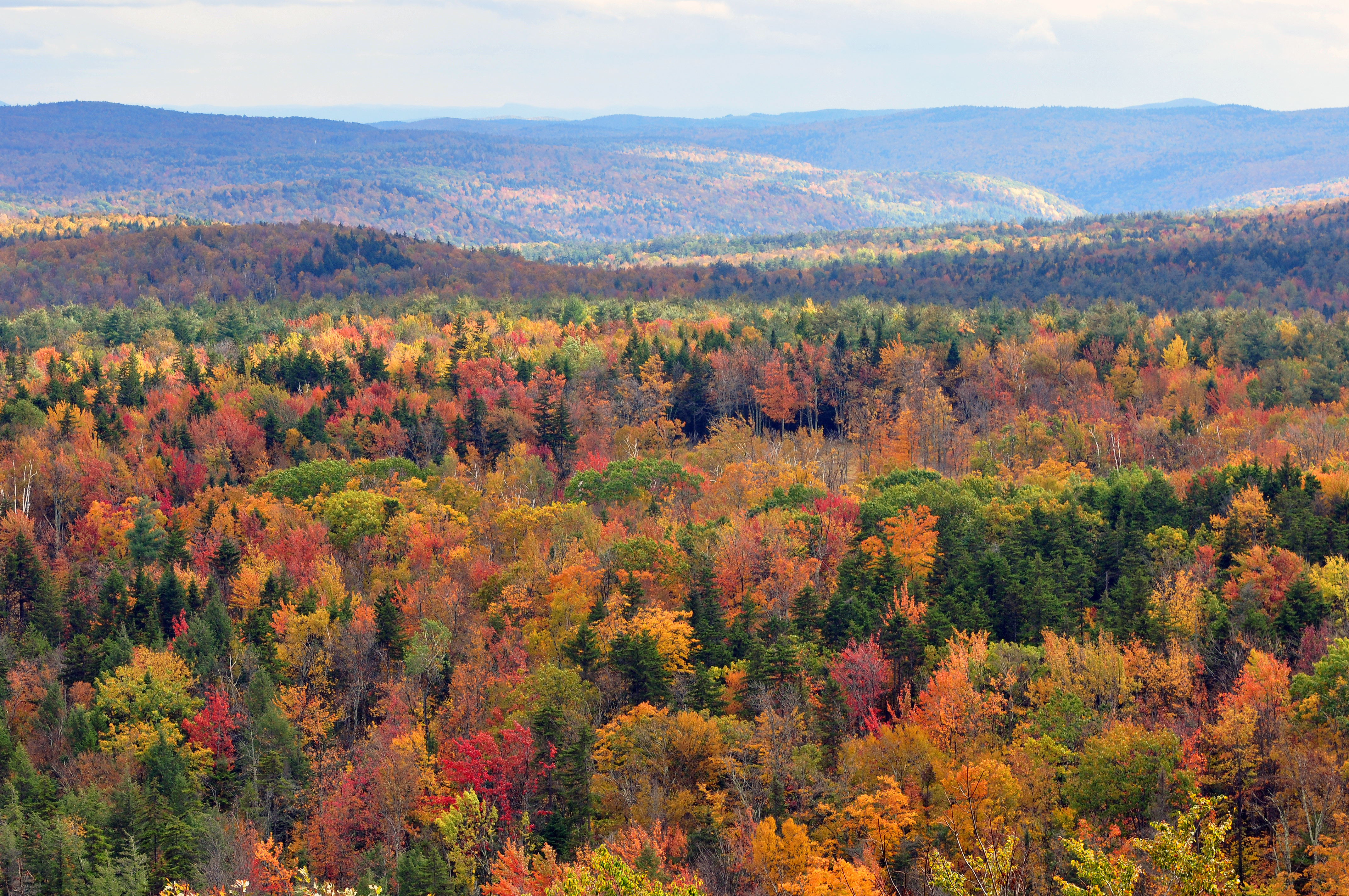 Vermont_fall_foliage_hogback_mountain.JPG