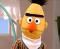 Bert