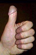 handpenis