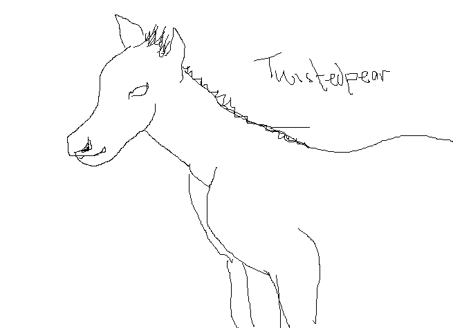 pony.png