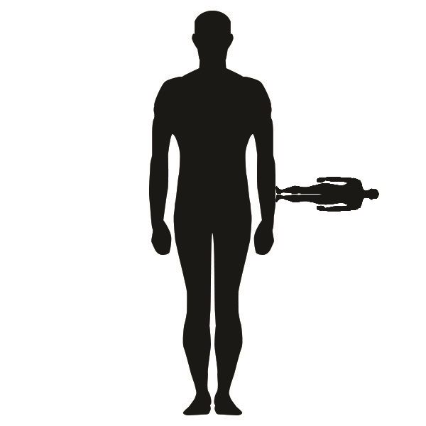 FreeVectorHumanSilhouette01.jpg