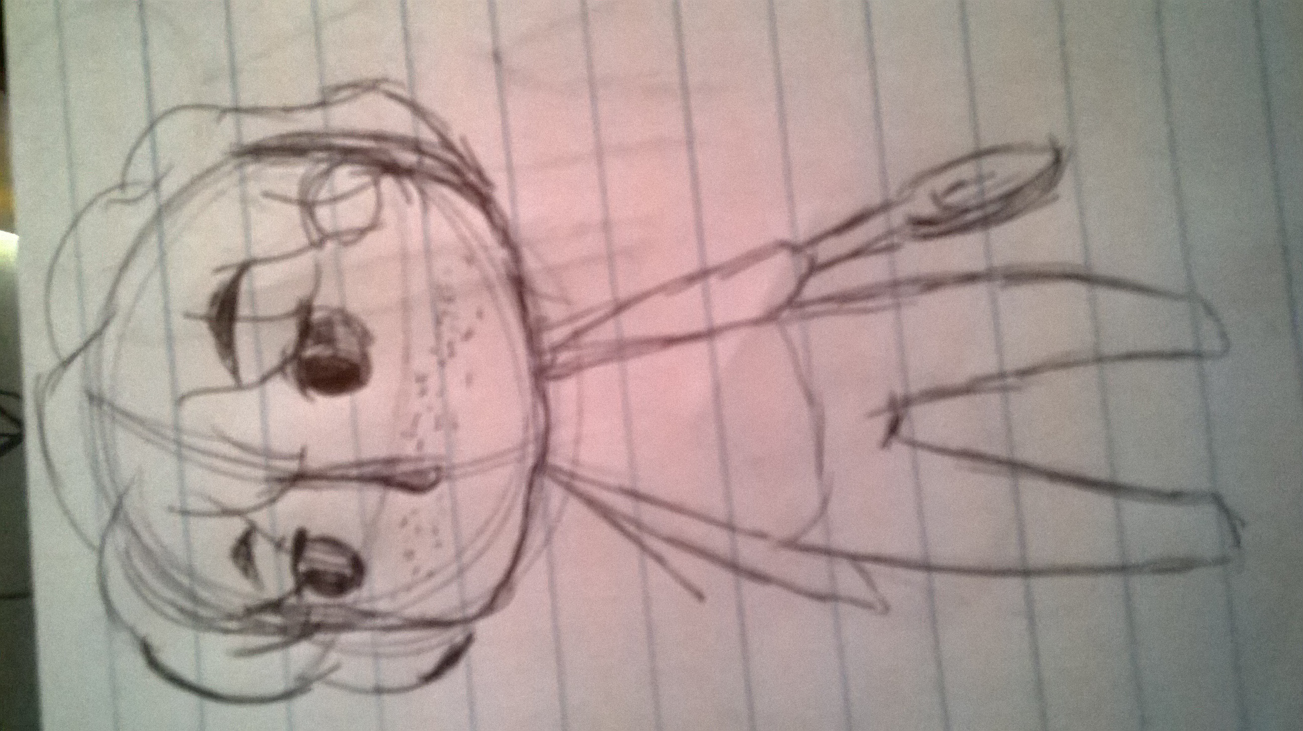 sketch