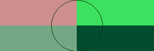 layout-shared-test.png