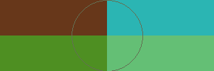 page-shared-test.png