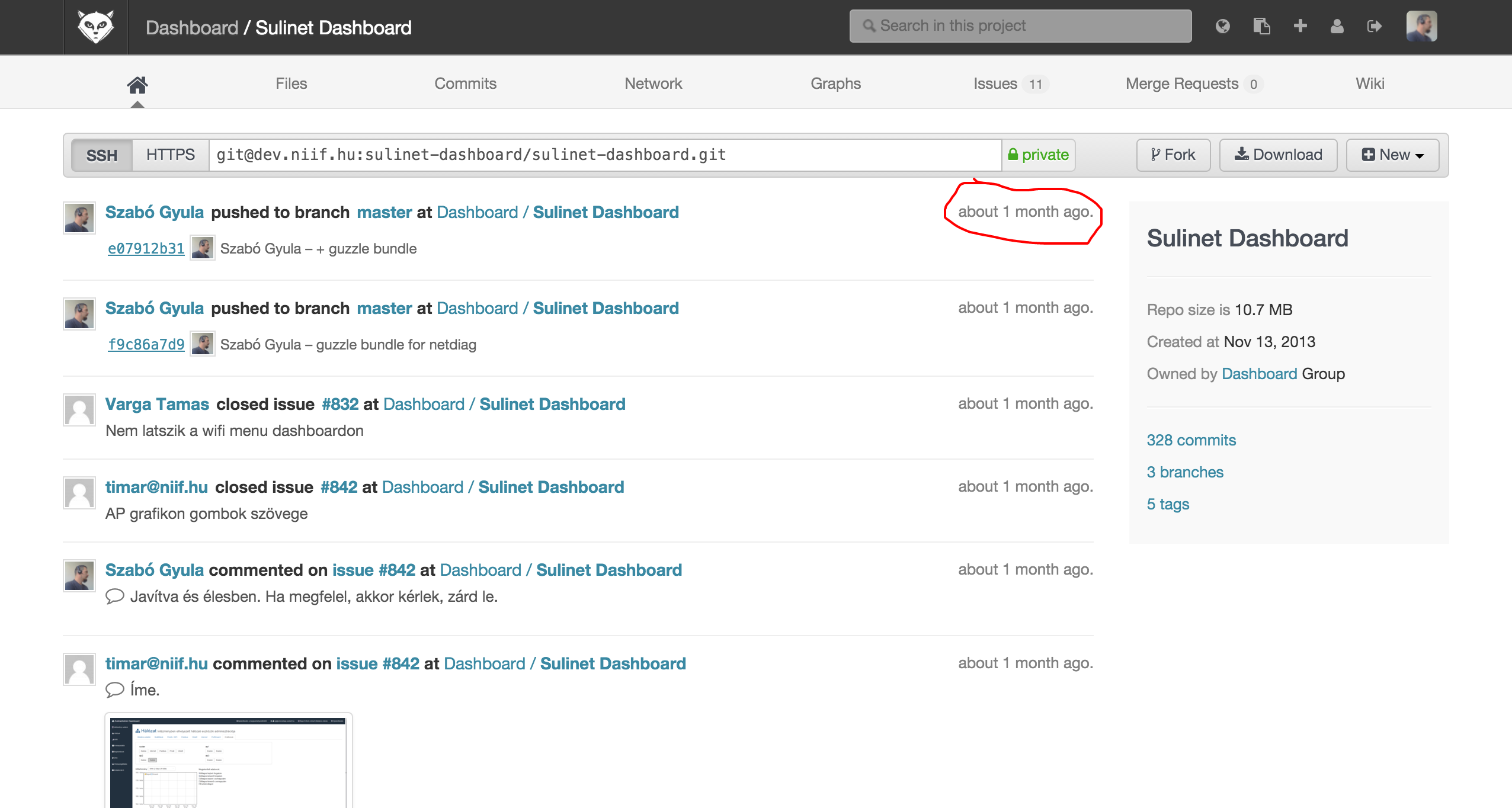 DashboardSulinetDashboardGitLab.png