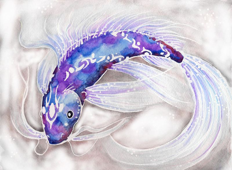purple_and_blue_fish_by_shadrad.jpg