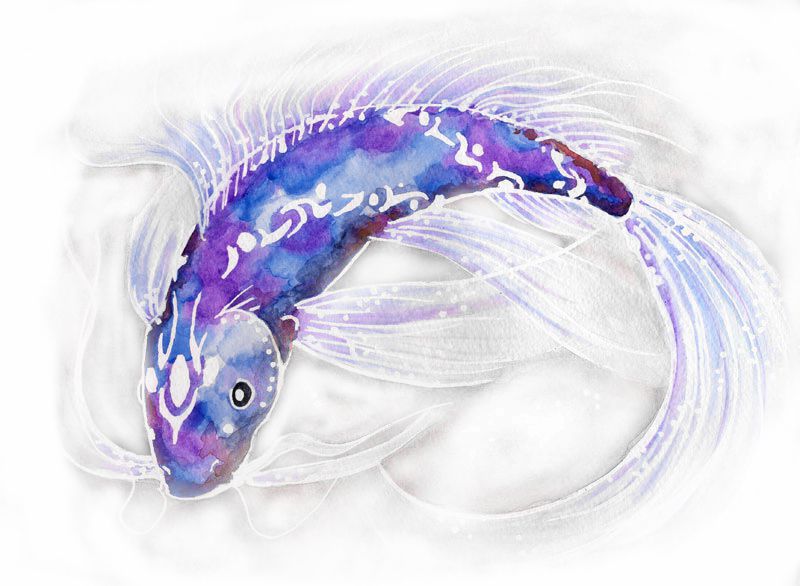 purple_and_blue_fish_by_shadrad.jpg