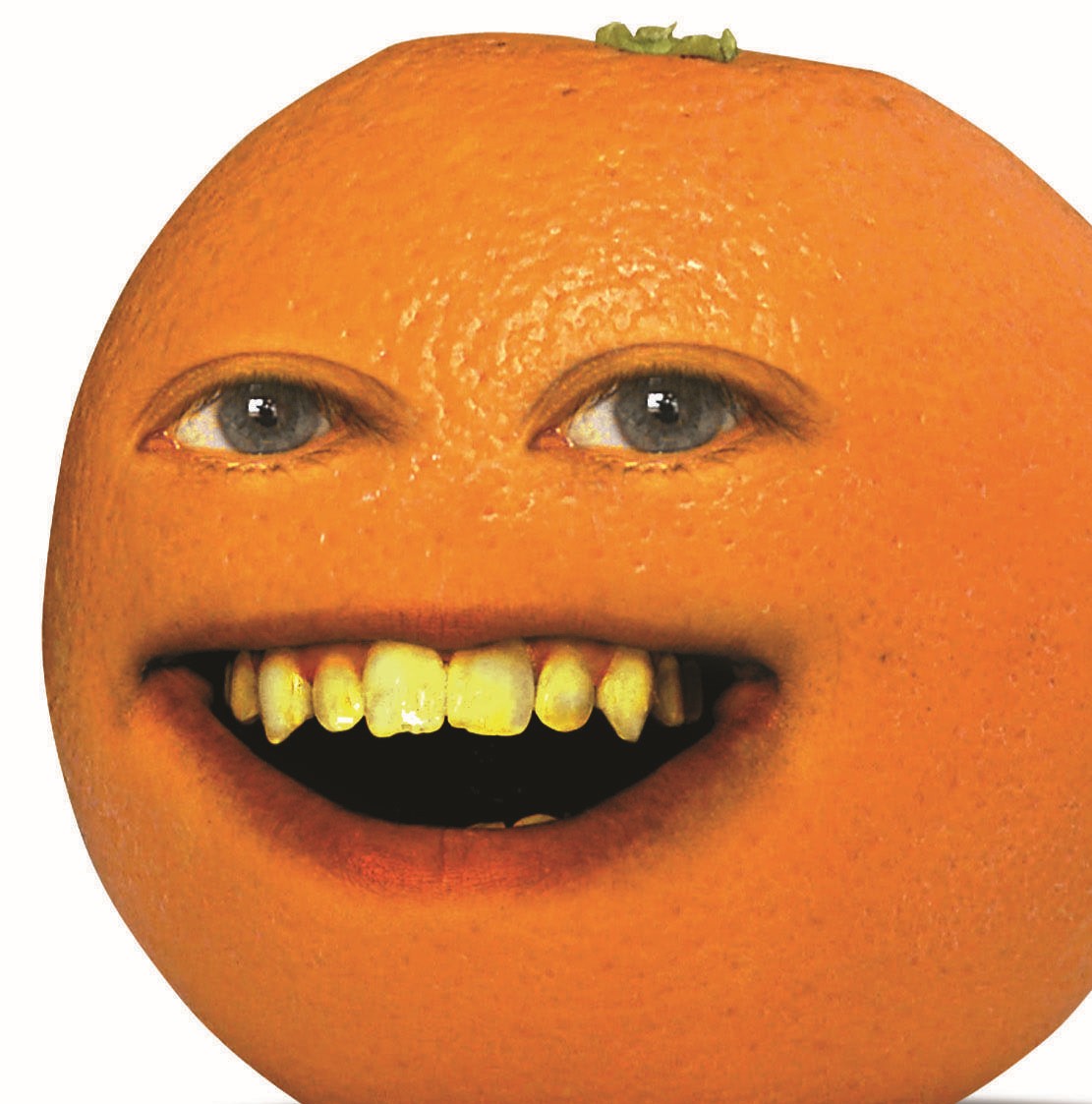 C__Data_Users_DefApps_AppData_INTERNETEXPLORER_Temp_SavedImages_Annoying_orange.jpg