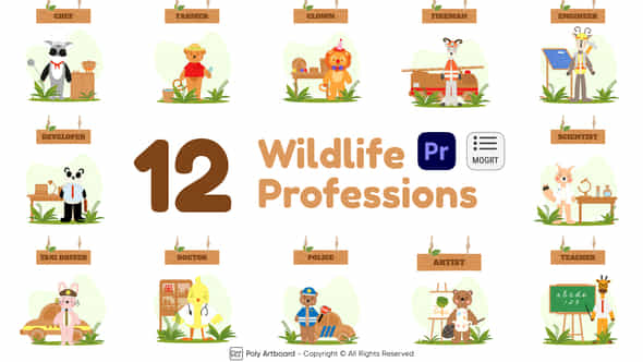 47742736-wildlife-professions.jpg