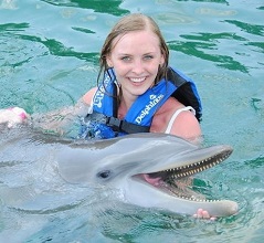 dolphin220x220px.jpg