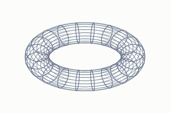 Torus