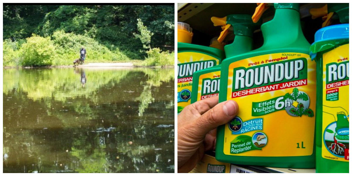 roundup