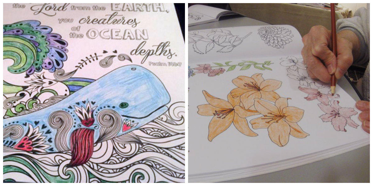 AdultColoring