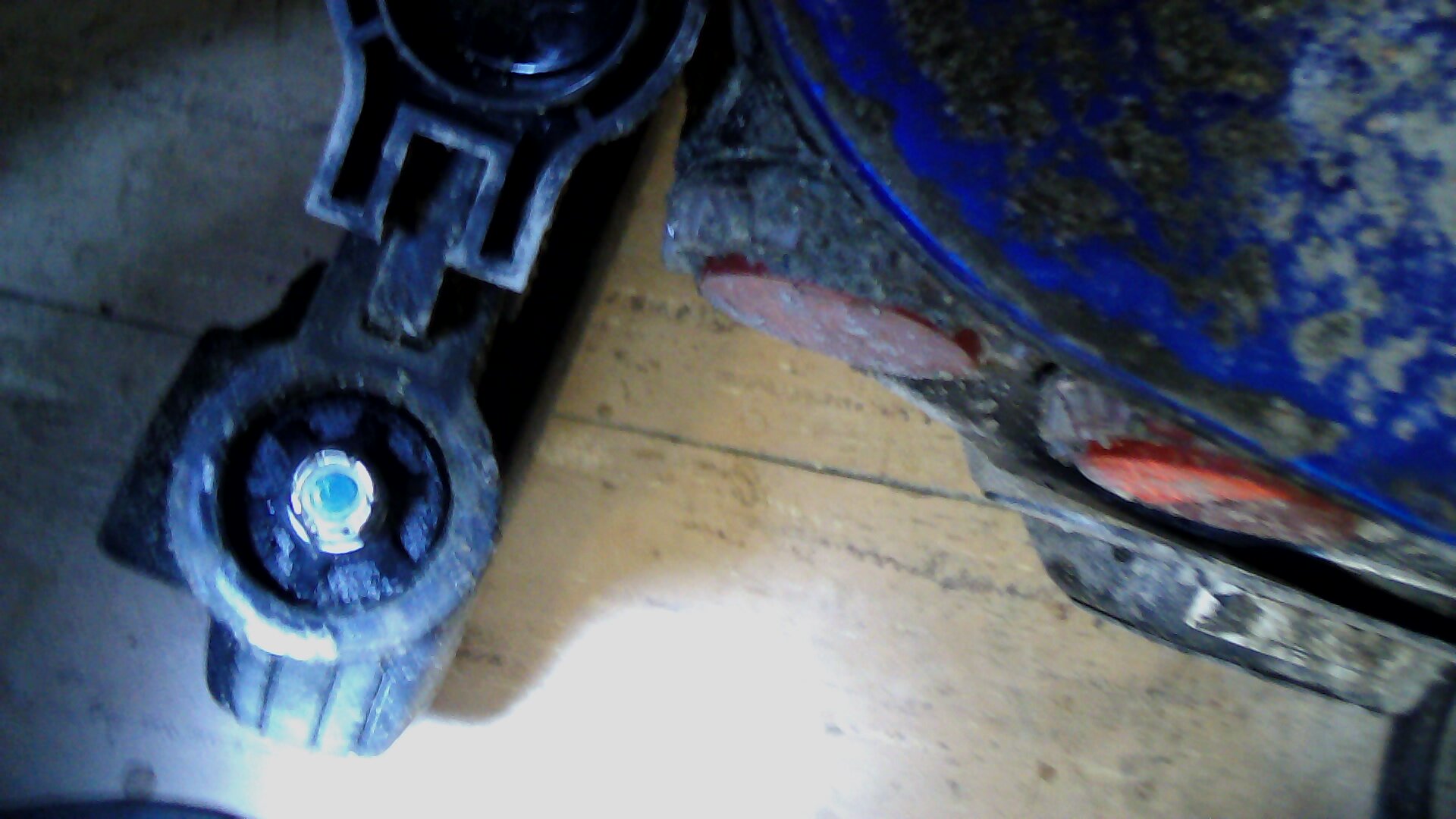 Stem Bearing