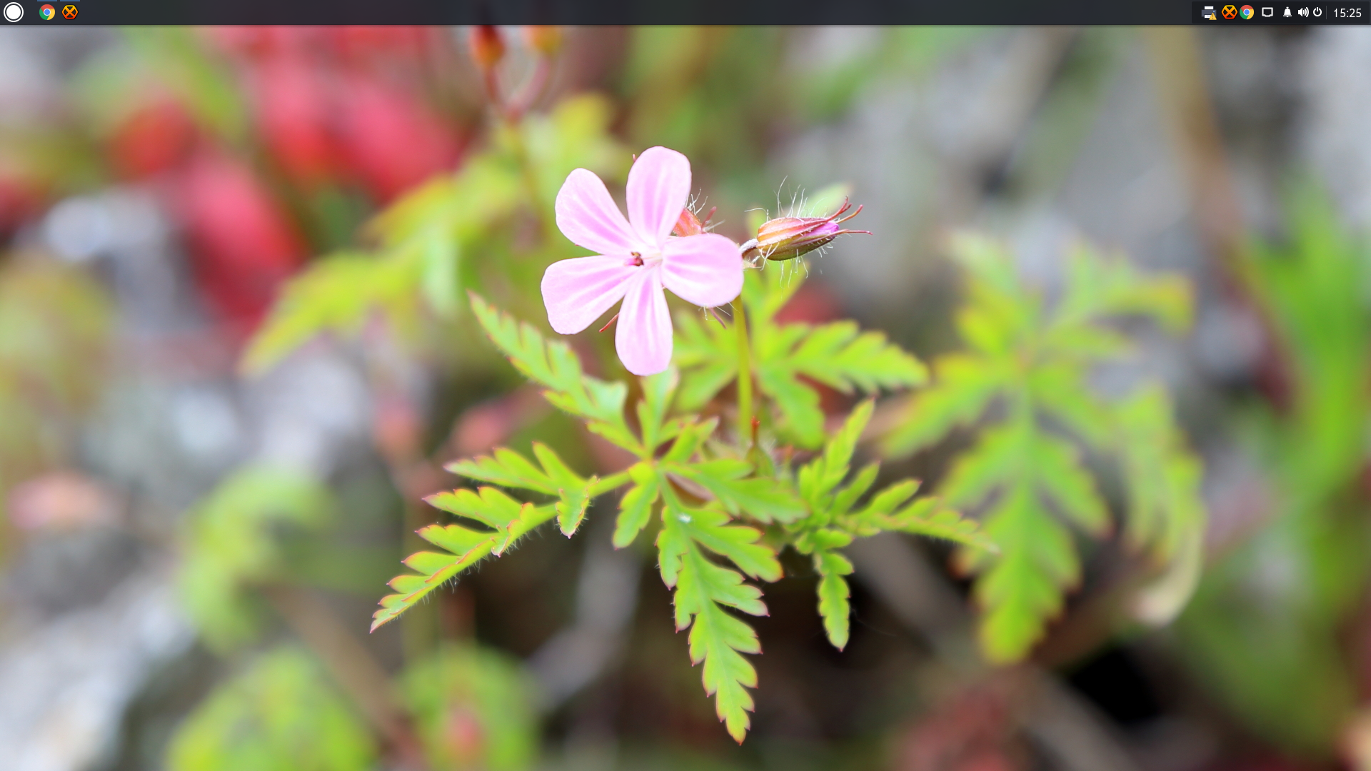 Screenshotfrom2016-01-3115-25-10.png